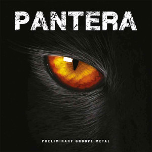 PANTERA / パンテラ / PRELIMINARY GROOVE METAL<CLEAR VINYL>