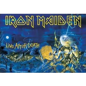 IRON MAIDEN / アイアン・メイデン / LIVE AFTER DEATH<TAPESTRY>