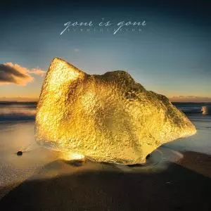 GONE IS GONE  / ECHOLOCATION