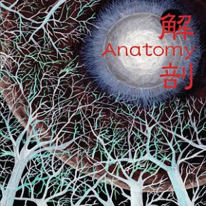 ANATOMY / アナトミー / 解剖