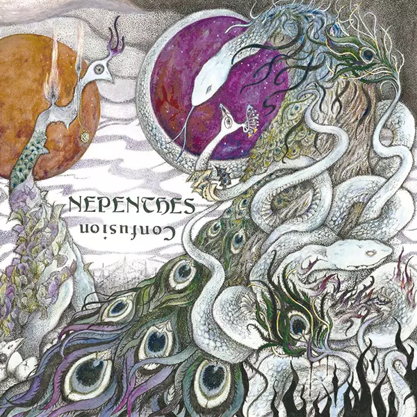 NEPENTHES / ネペンシス / CONFUSION / コンフュージョン