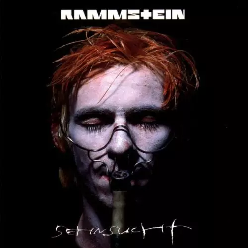 RAMMSTEIN / ラムシュタイン / SEHNSUCHT<2LP>