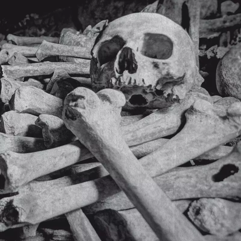 ENCOFFINATION / NECROS OBSCURITAS