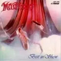 MADISON / マディソン / BEST IN SHOW