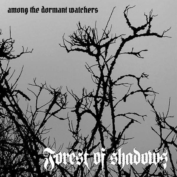 FOREST OF SHADOWS / AMONG THE DORMANT WATCHERS