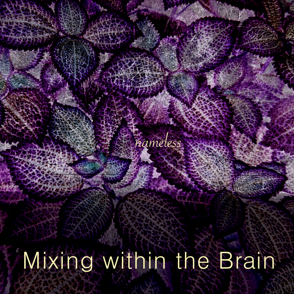 Mixing within the Brain / ミキシング・ウィズイン・ザ・ブレイン / NAMELESS<CD-R> / ネームレス