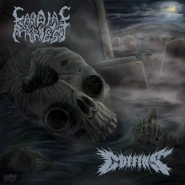 ディスクユニオン限定販売:ロングスリーヴ・シャツ付きセット】世界の