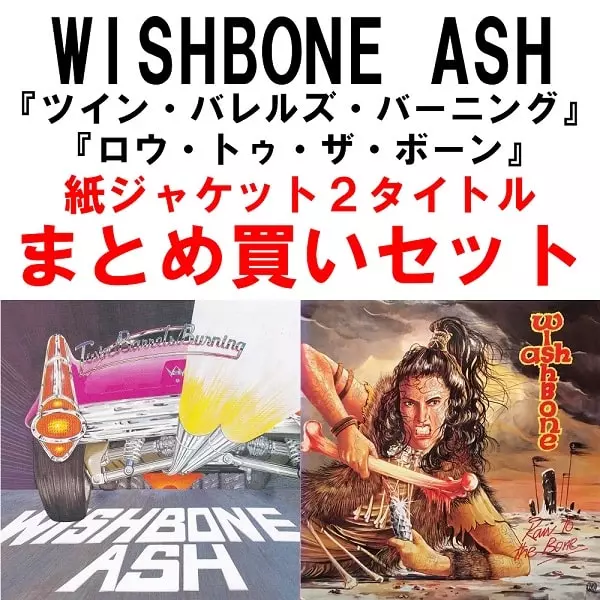 ダン・フォーゲルバーグ [アメリカの想い出] Amazon.co.jp: アメリカの想い出: ミュージック
