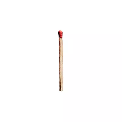 RAMMSTEIN / ラムシュタイン / RAMMSTEIN <2LP>