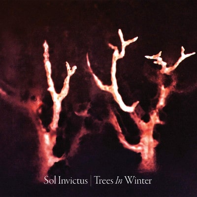 SOL INVICTUS / TREES IN WINTER<DIGI>