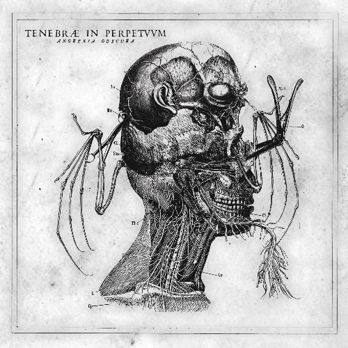 TENEBRAE IN PERPETUUM / ANOREXIA OBSCURA<DIGI>