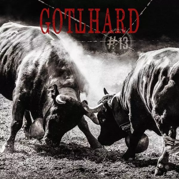【希少】LPレコード Gotthard／Gotthard（赤ジャケット） LINDA RONSTADT / Living Like A Fool / He Darked The Sun (LP