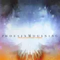 WHEN EXCUSES BECOME ANTIQUES/PHOENIX MOURNING/フェニックス