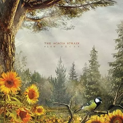 The Acacia Strain デスコア ハードコア メタル ブルデス レア ACACIA STRAIN商品一覧｜HARD ROCK / HEAVY METAL｜ディスクユニオン