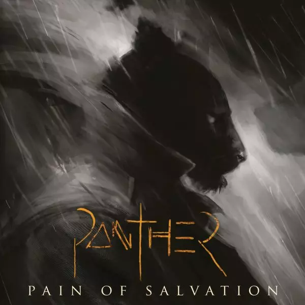 【CDs】Pain of Salvation 5枚セット Amazon.co.jp: 12:5: Music