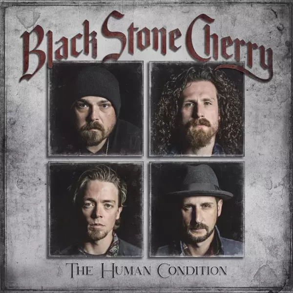 BLACK STONE CHERRY / ブラック・ストーン・チェリー / THE HUMAN CONDITION (RED VINYL)