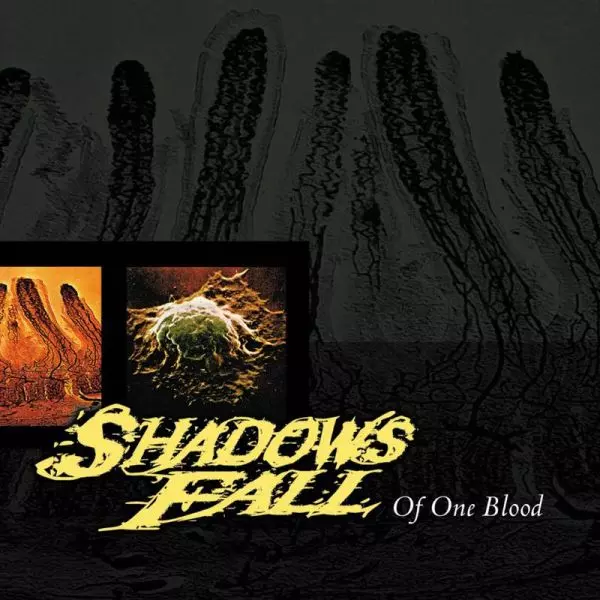 SHADOWS FALL / シャドウズ・フォール / OF ONE BLOOD
