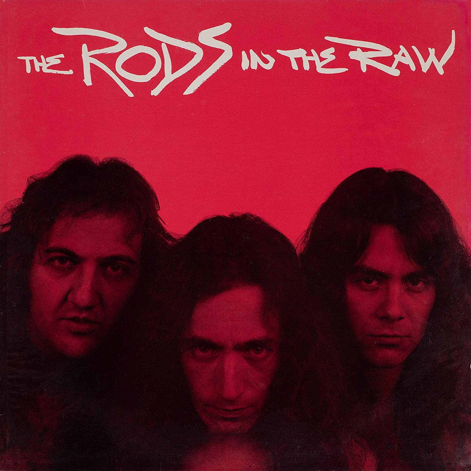 RODS / ザ・ロッズ / IN THE RAW