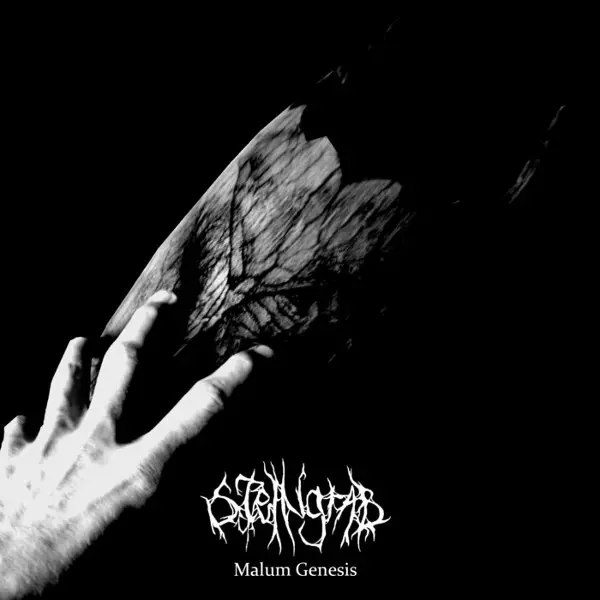 STEINGRAB / MALUM GENESIS