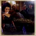 EVANESCENCE / エヴァネッセンス / CALL ME WHEN YOU'RE SOBER
