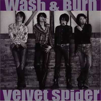 VELVET SPIDER / ヴェルヴェット・スパイダー商品一覧｜ディスク