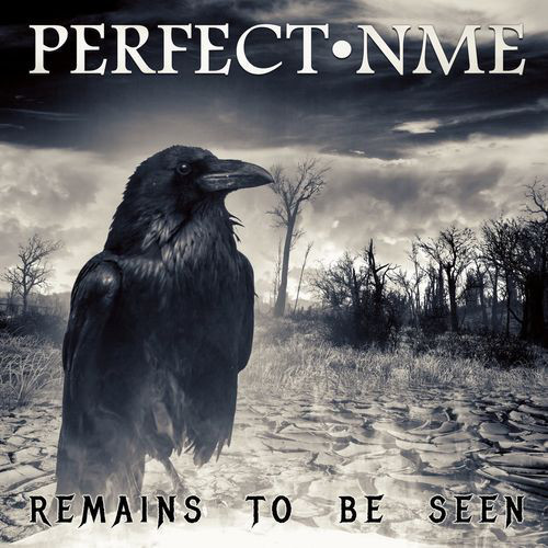 PERFECT NME  / パーフェクト・エヌ・エム・イー / REMAINS TO BE SEEN / リメインズ・トゥ・ビー・シーン<直輸入盤国内仕様>