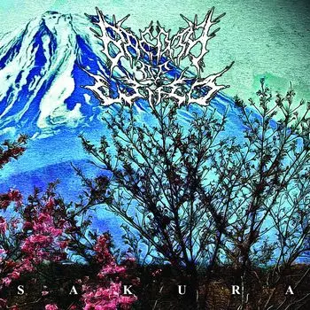 BREATH OF WIND / SAKURA
