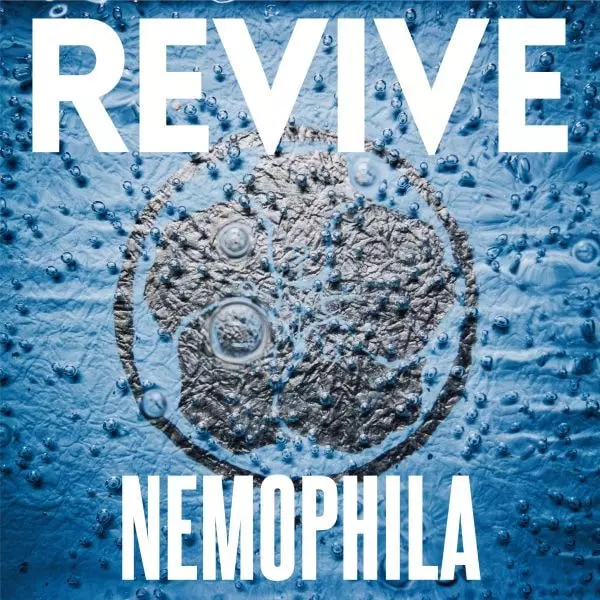 NEMOPHILA / ネモフィラ / REVIVE