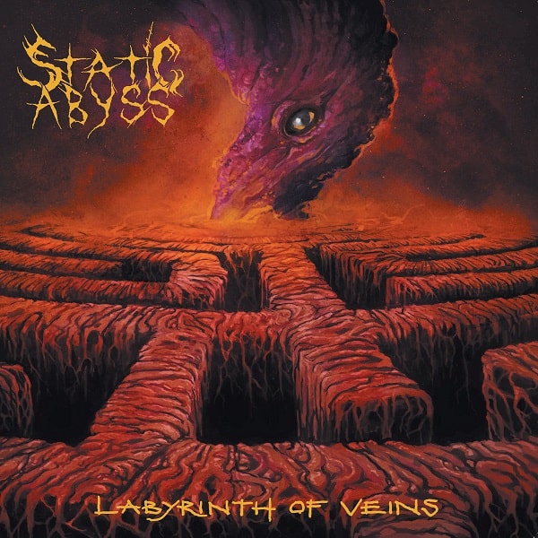 STATIC ABYSS / LABYRINTH OF VEINS