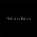 ZEBRA (from US) / ゼブラ / BEST OF ZEBRA / ベスト・オブ・ゼブラ