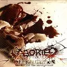 ABORTED / アボーテッド / GOREMAGEDDON:THE SAW AND THE CARNAGE DONE