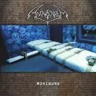 ANASARCA / アナサーカ / MORIBUND / モ-リバンド