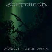 【中古】 North From Here Shadows in the Past センテンスト Amazon.co.jp: North From Here / Shadows in the Past: Music