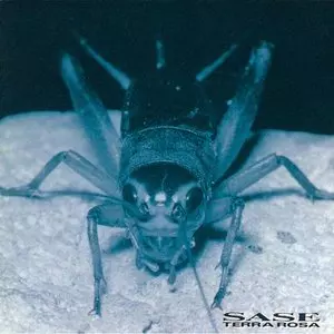 TERRA ROSA / テラ・ローザ / 刹那の甘露 - SASE -