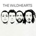 WILDHEARTS / ワイルドハーツ / 2007 / (デジパック仕様/ボーナストラック有)