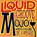 LIQUID GROOVE MOJO / ACOUSTICALLY CHALLENGED "LIVE" & UNPLUGGED