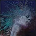 DEVIL SOLD HIS SOUL / デヴィル・ソールド・ヒズ・ソウル / A FRAGILE HOPE