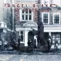 ANGEL BLAKE / エンジェル・ブレイク / THE DESCENDED