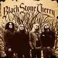 BLACK STONE CHERRY / ブラック・ストーン・チェリー / BLACK STONE CHERRY