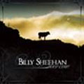 BILLY SHEEHAN / ビリー・シーン / HOLY COW!