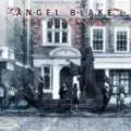 ANGEL BLAKE / エンジェル・ブレイク / THE DESCENDED