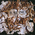 PURE INC. / PARASITES AND WORMS