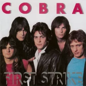 コブラ / Cobra アルバム 5タイトルセット コブラ / Cobra アルバム 5タイトルセット - メルカリ