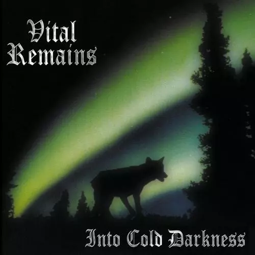 VITAL REMAINS / ヴァイタル・リメインズ商品一覧｜HARD ROCK / HEAVY