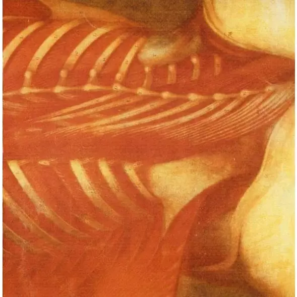 GENERAL SURGERY / BUTCHER ABC / Split CD