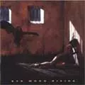 BAD MOON RISING / バッド・ムーン・ライジング / BAD MOON RISING