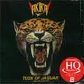AKIRA TAKASAKI / 高崎晃 / TUSK OF JAGUAR / ジャガーの牙