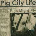 PIGS MIGHT FLY / PIG CITY LIFE