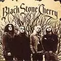 BLACK STONE CHERRY / ブラック・ストーン・チェリー / BLACK STONE CHERRY
