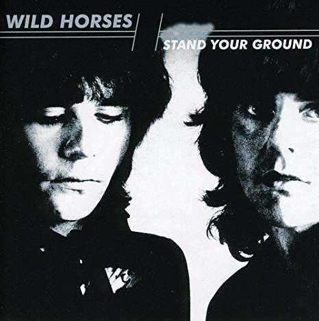 WILD HORSES / ワイルド・ホーシズ / STAND YOUR GROUND